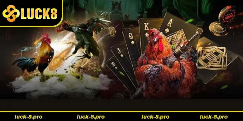 Cách Chơi Đá Gà 3D Luck8 Đỉnh Cao Giải Trí Trực Tuyến