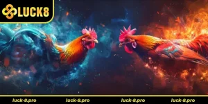 Cách Chơi Đá Gà GA28 Luck8 Đỉnh Cao Trải Nghiệm Cá Cược