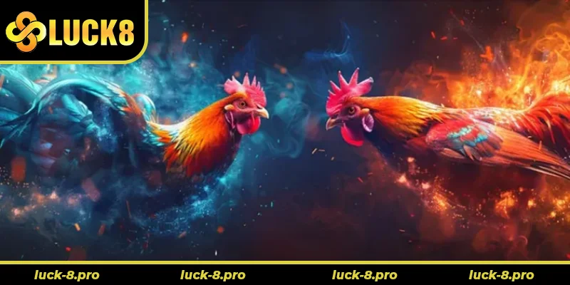 Cách Chơi Đá Gà GA28 Luck8 Đỉnh Cao Trải Nghiệm Cá Cược