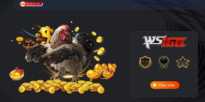 Cá cược đá gà hấp dẫn với nhiều cơ hội thắng lớn Cá cược đá gà hấp dẫn với nhiều cơ hội thắng lớn